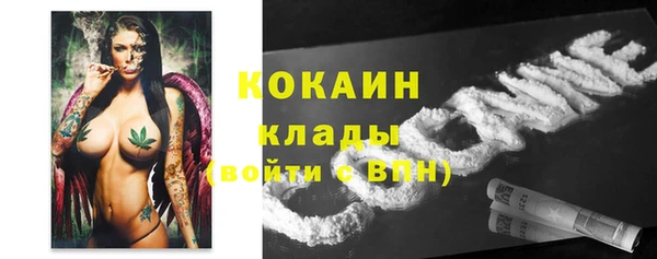 ГАЛЛЮЦИНОГЕННЫЕ ГРИБЫ Арсеньев