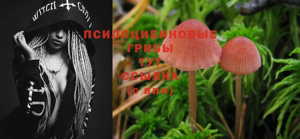 MDMA Premium VHQ Армянск