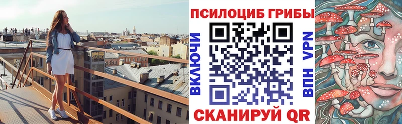 Галлюциногенные грибы Psilocybe  Белоусово 